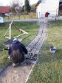 Projekt_VPP 5